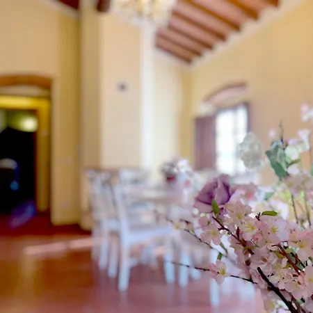 Casariccio - Casa Dalia *